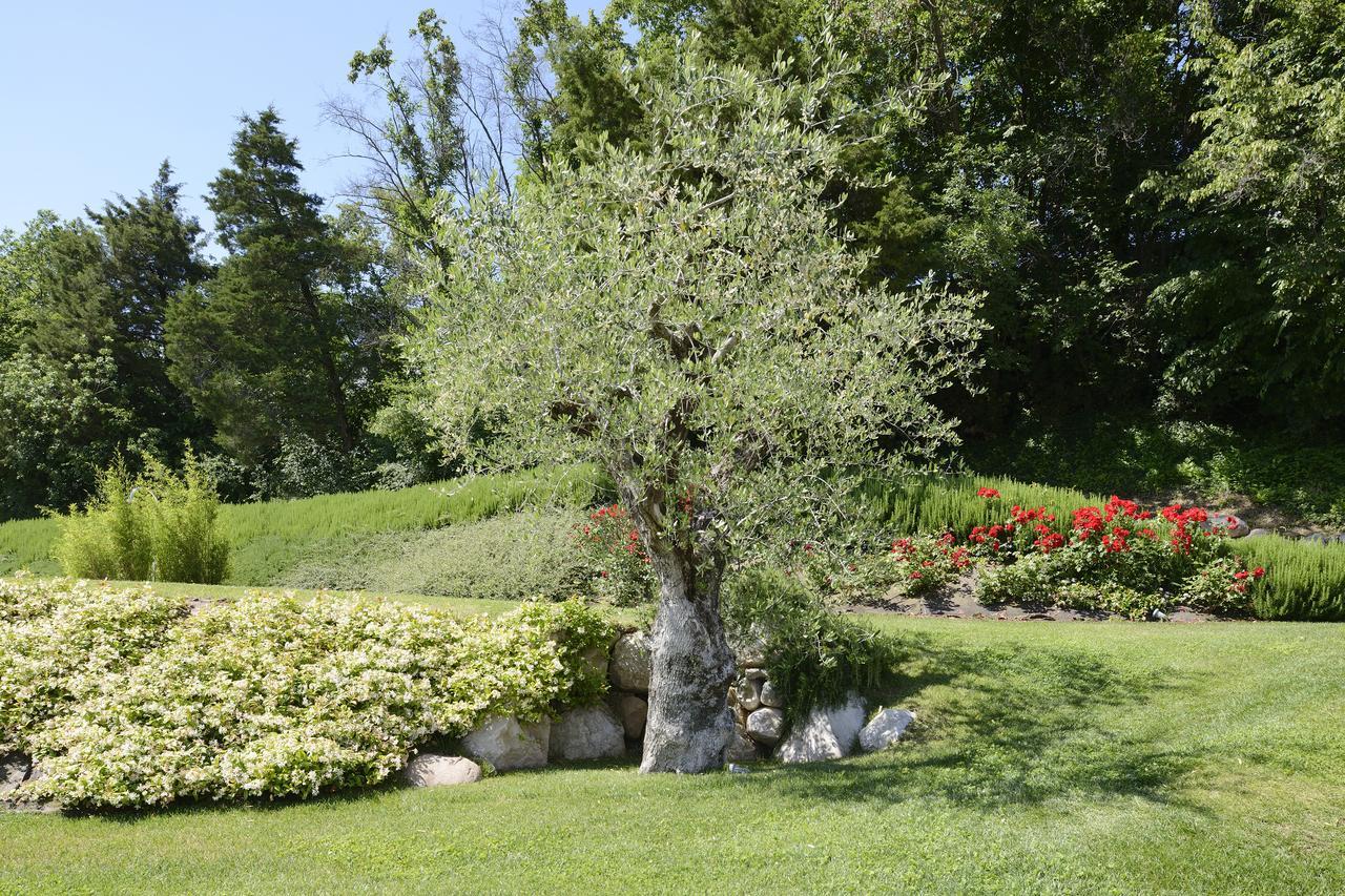 Relais Rossar Boutique Hotel Garda & Hills 코스테르마노 외부 사진